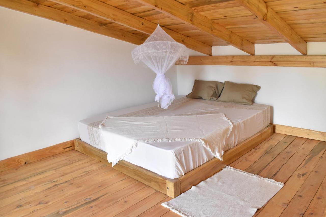 Tiny House With Amazing View Lejlighed Arusha Eksteriør billede
